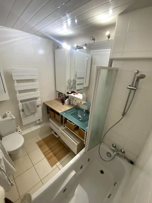 Duplex Avec Jardin, Superbe Vue Lac, Veyrier Apartment